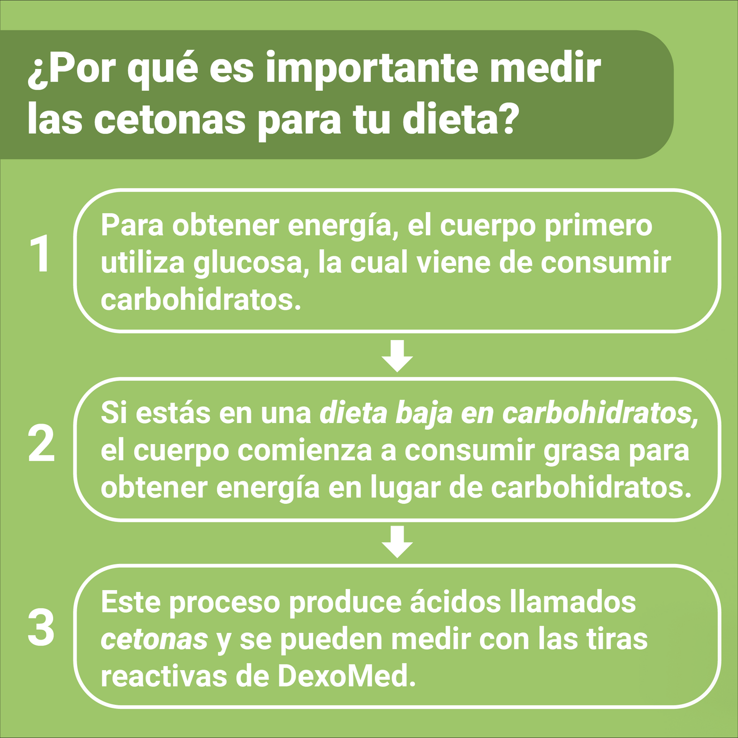 por que es importante medir las cetonas para mi dieta