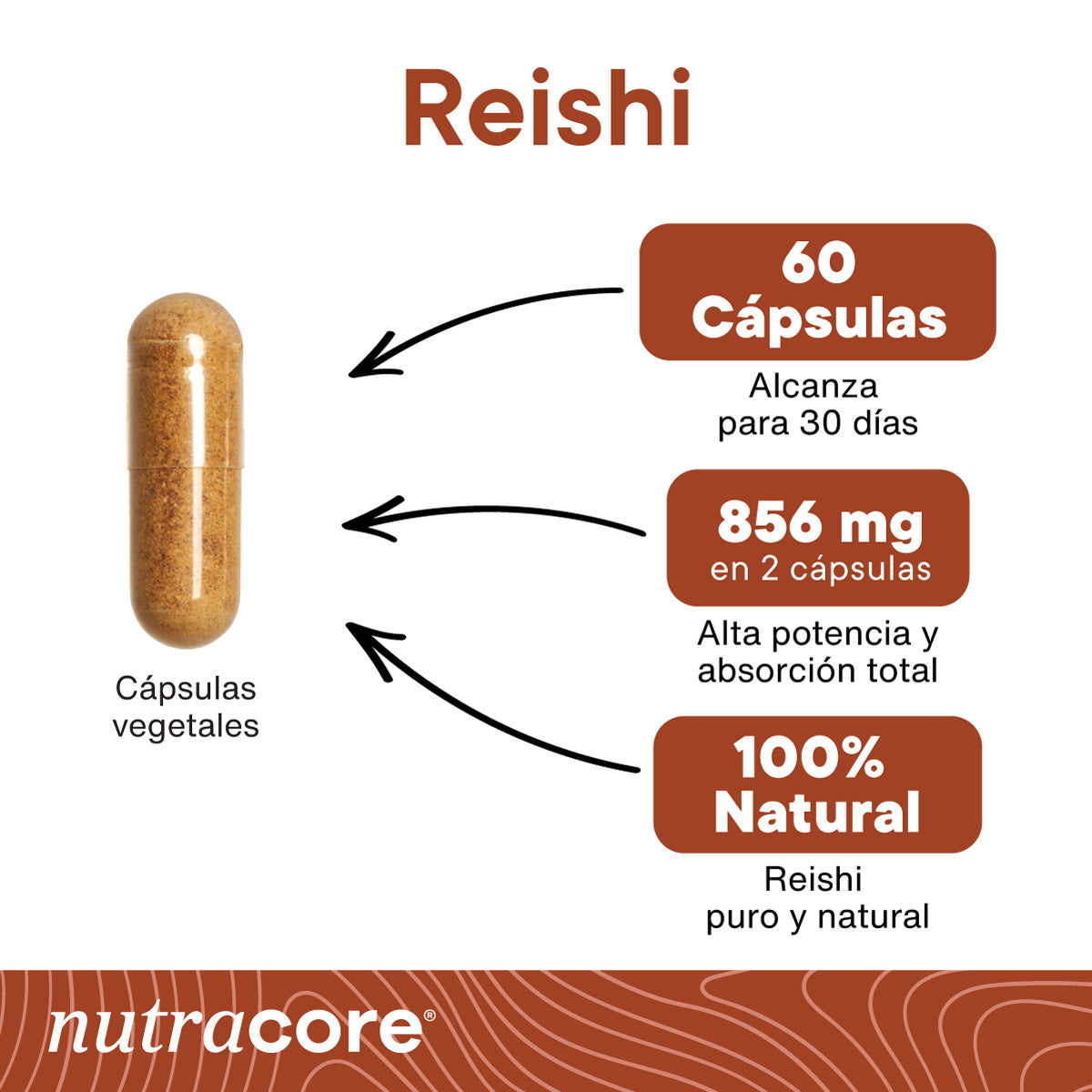 Reishi-Chile