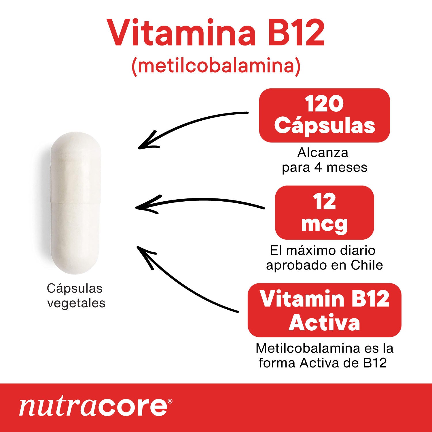 Vitamina-B12-Vegana